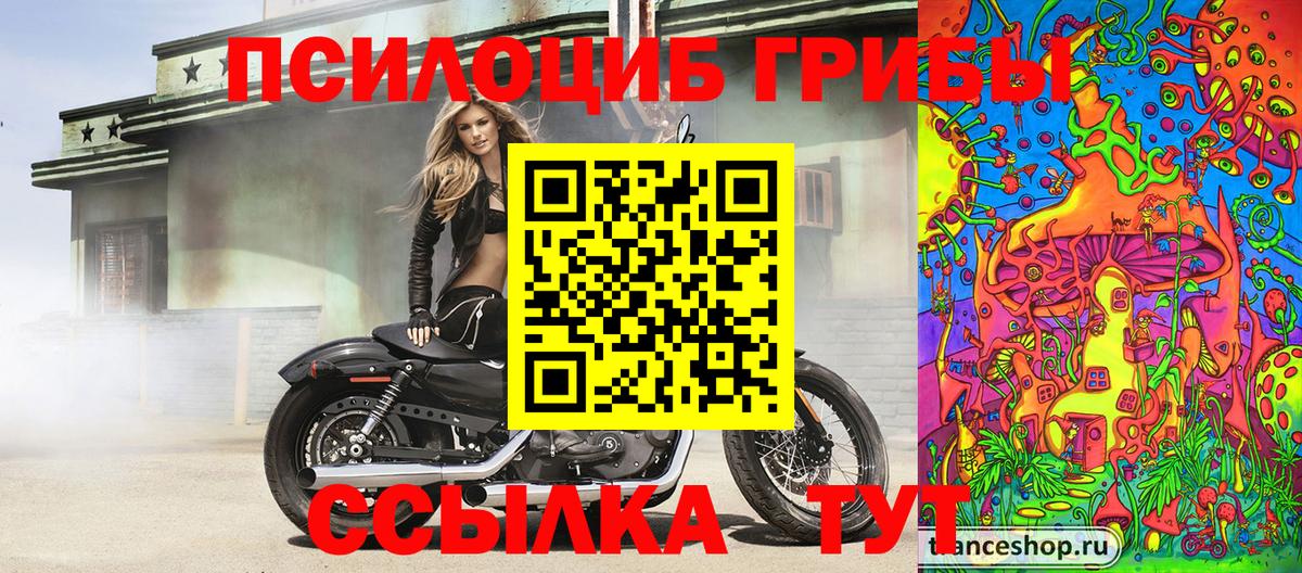 Галлюциногенные грибы MAGIC MUSHROOMS  Вход с VPN  Мурино 