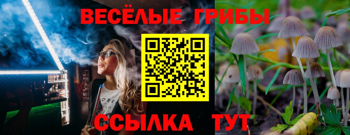 ГАШ Мурино